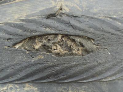 Vittoria open KX tyre.